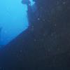 Picture taken during the dive