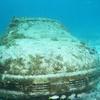 Picture taken during the dive
