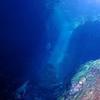 Picture taken during the dive