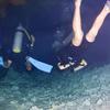 Picture taken during the dive