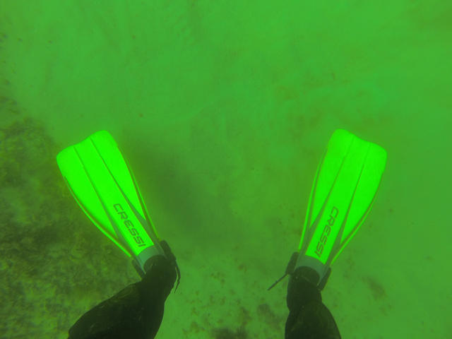 Mouro Divers - Dive Center in Spain