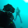 Picture taken during the dive