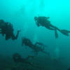 Picture taken during the dive