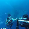 Picture taken during the dive