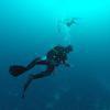 Picture taken during the dive