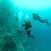 Picture taken during the dive