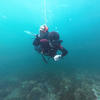 Picture taken during the dive