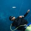 Picture taken during the dive