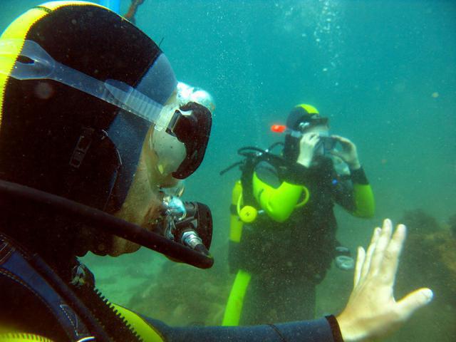 Mega Dive - Dive Center in Portugal