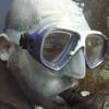 Picture taken during the dive