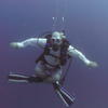 Picture taken during the dive