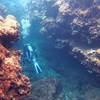 Picture taken during the dive