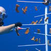 Picture taken during the dive