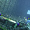 Picture taken during the dive
