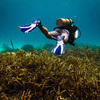 Picture taken during the dive