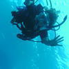 Picture taken during the dive