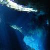 Picture taken during the dive