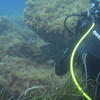 Picture taken during the dive