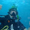 Picture taken during the dive
