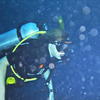 Picture taken during the dive