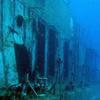 Picture taken during the dive
