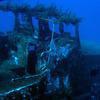 Picture taken during the dive