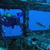 Picture taken during the dive