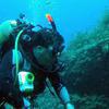 Picture taken during the dive