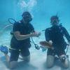 Picture taken during the dive