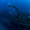 Picture taken during the dive