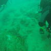 Picture taken during the dive