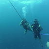Picture taken during the dive