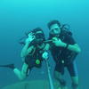 Picture taken during the dive