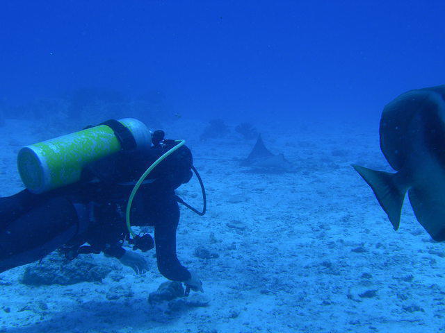 Azzurra Pro Dive - Dive Center