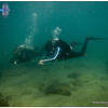 Picture taken during the dive