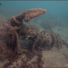 Picture taken during the dive