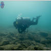 Picture taken during the dive