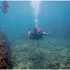 Picture taken during the dive