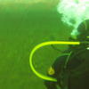 Picture taken during the dive