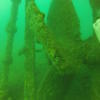 Picture taken during the dive