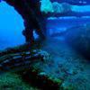 Picture taken during the dive