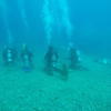 Picture taken during the dive