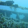 Picture taken during the dive