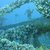 Picture taken during the dive