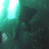 Picture taken during the dive