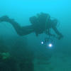 Picture taken during the dive