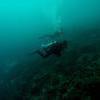 Picture taken during the dive