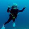 Picture taken during the dive