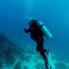 Picture taken during the dive