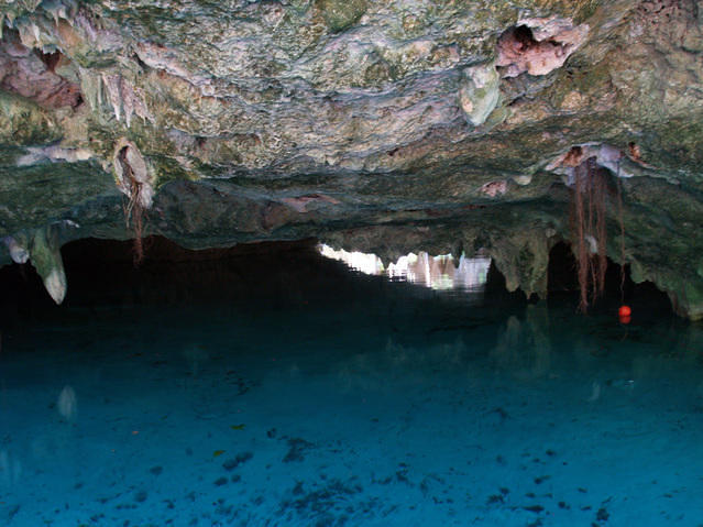Yucatek Divers - Dive Center in United States